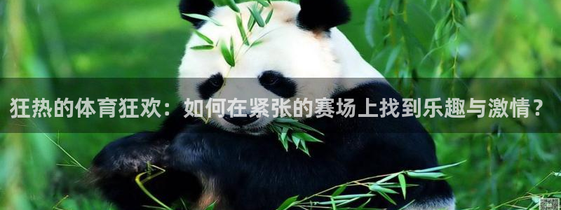 说球帝app下载ios：狂热的体育狂欢：如何在紧张的赛场上找到乐趣与激情？