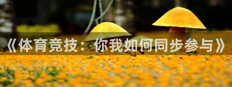 说球帝冠希解说直播平台：《体育竞技：你我如何同步参与》