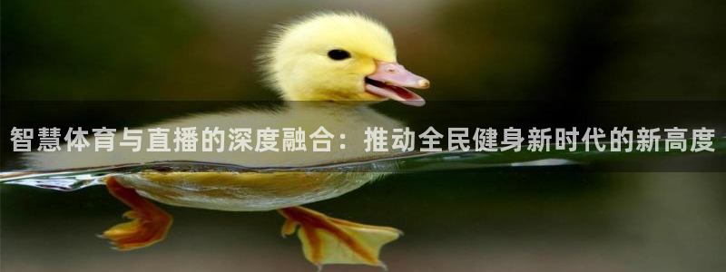 说球帝在线观看nba免费直播：智慧体育与直播的深度融合：推动全民健身新时代的新高度