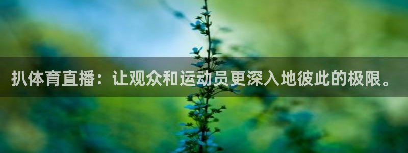 说球帝直播nba：扒体育直播：让观众和运动员更深入地彼此的极限。